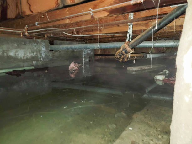 Best Water damage restoration specialists  in Mentone, CA
