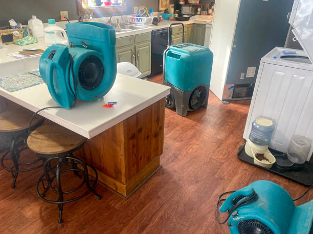 Best 24/7 water damage repair  in Mentone, CA