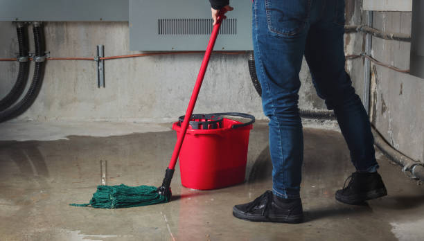 Best Sewage cleanup and water damage restoration  in Mentone, CA