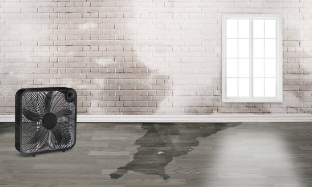  Mentone, CA Water damage restoration Pros