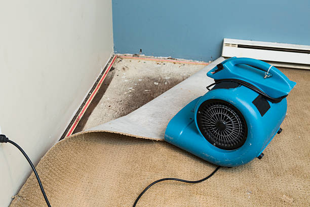 Best Residential water damage restoration  in Mentone, CA